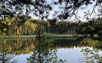 Mihin maaseuturahoitusta käytettiin huhti-kesäkuussa?