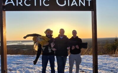 Vauhtia verkostoihin -hanke